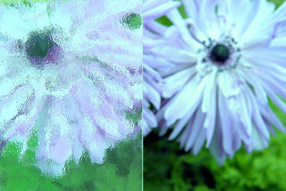 Ornamentglas Kathedral Ornamentglas Kathedral